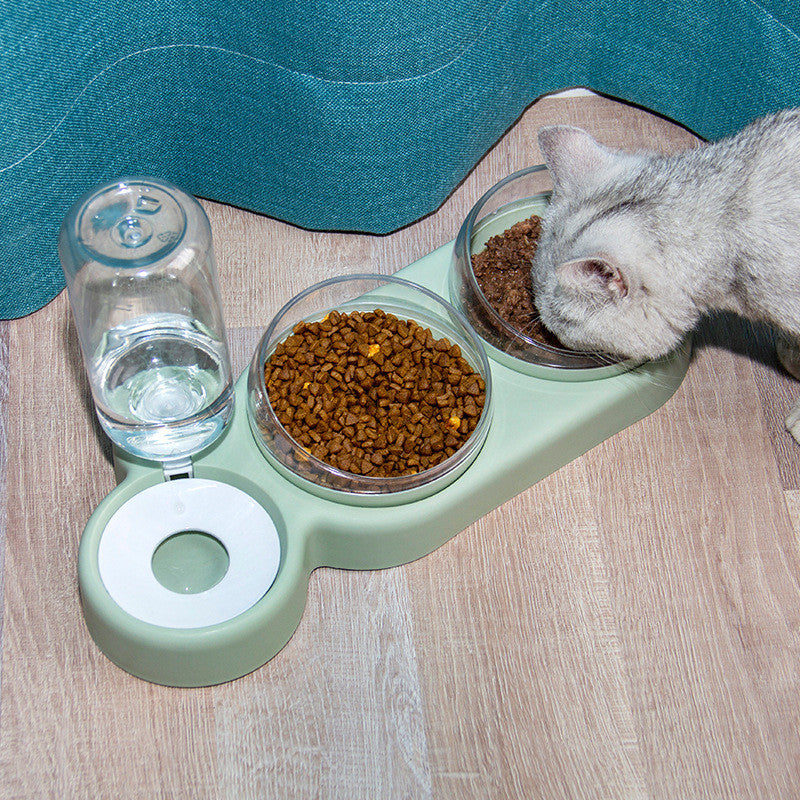 Pet Bowl Automatic Feeder With Water Fountain Raised Stand