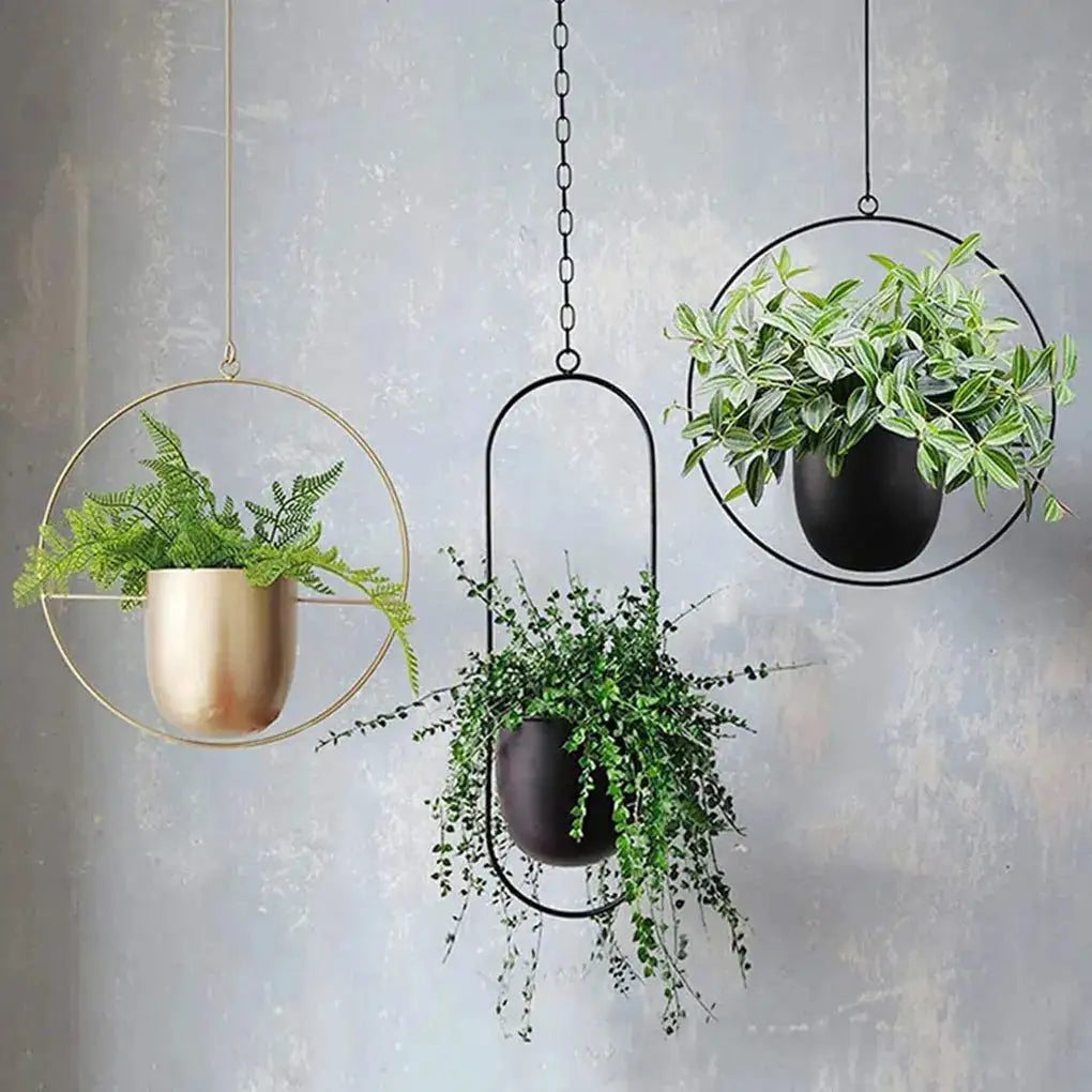 Creative Hanging Indoor Planter