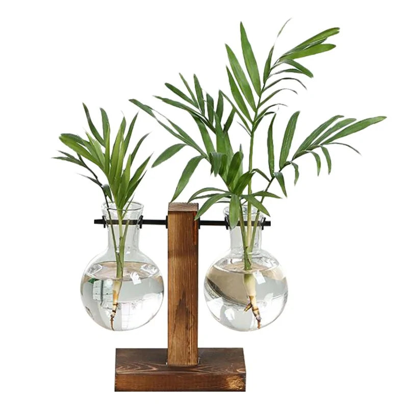 Terrarium Hydroponic Plant Vases