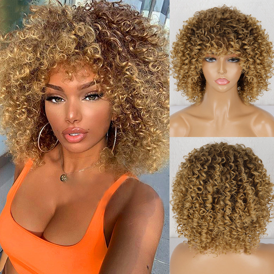 Synthetic Afro Curly Wig