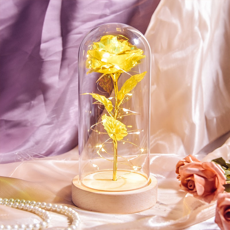 Mothers Day Gifts Beauty and The Beast Preserved Roses In Glass Galaxy Rose LED Light Artificial Flower Gift for Mom Women Girls