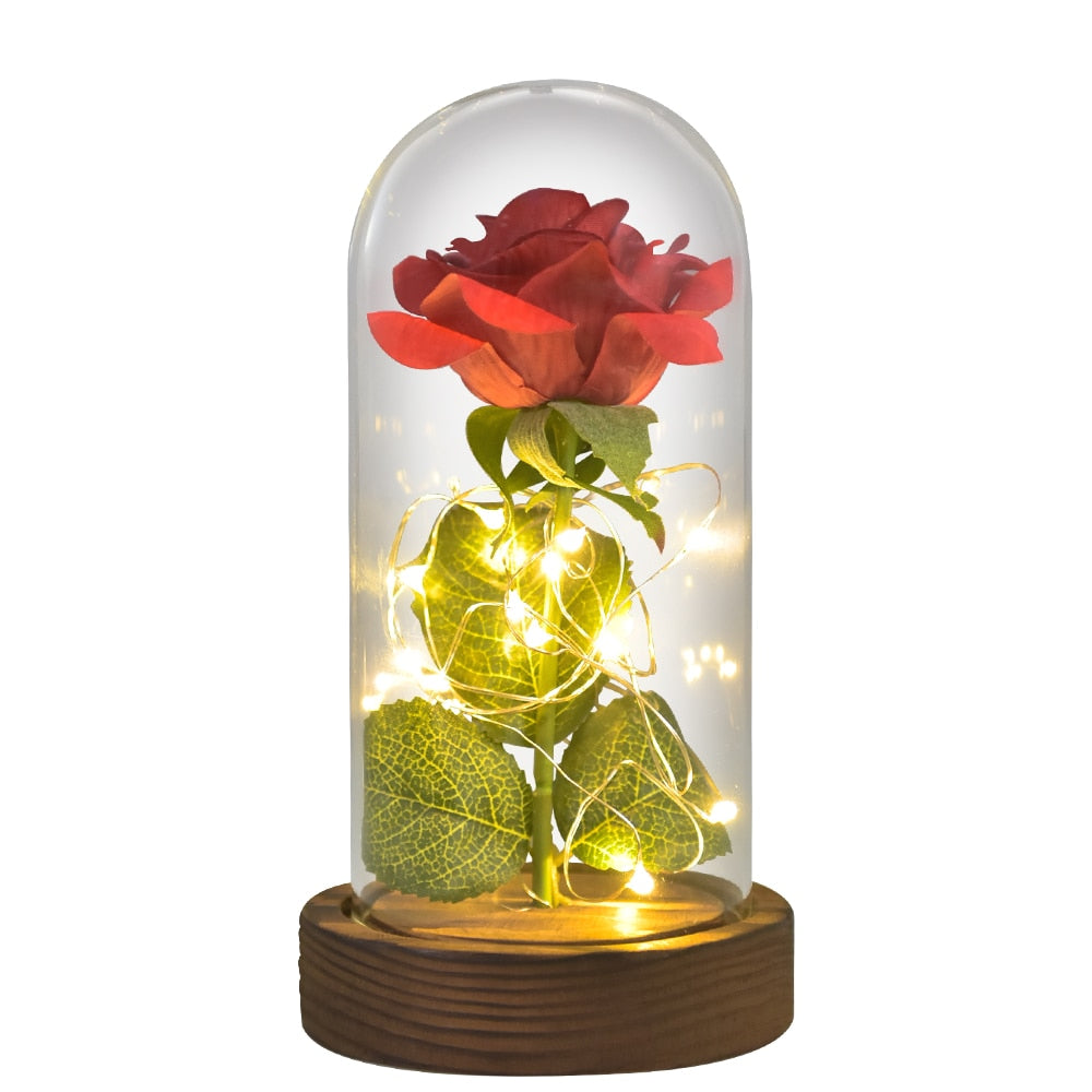 Mothers Day Gifts Beauty and The Beast Preserved Roses In Glass Galaxy Rose LED Light Artificial Flower Gift for Mom Women Girls