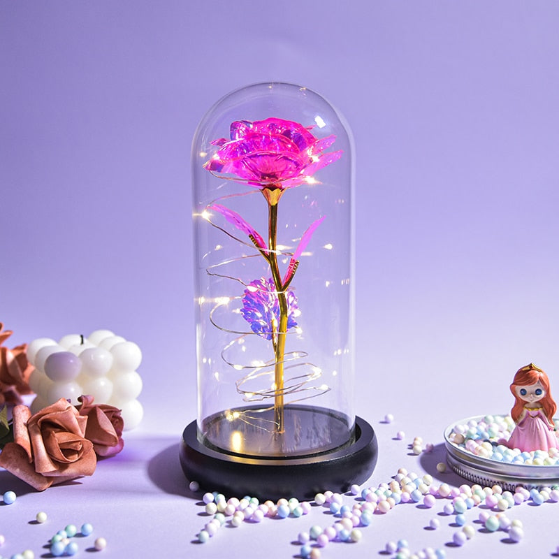 Mothers Day Gifts Beauty and The Beast Preserved Roses In Glass Galaxy Rose LED Light Artificial Flower Gift for Mom Women Girls