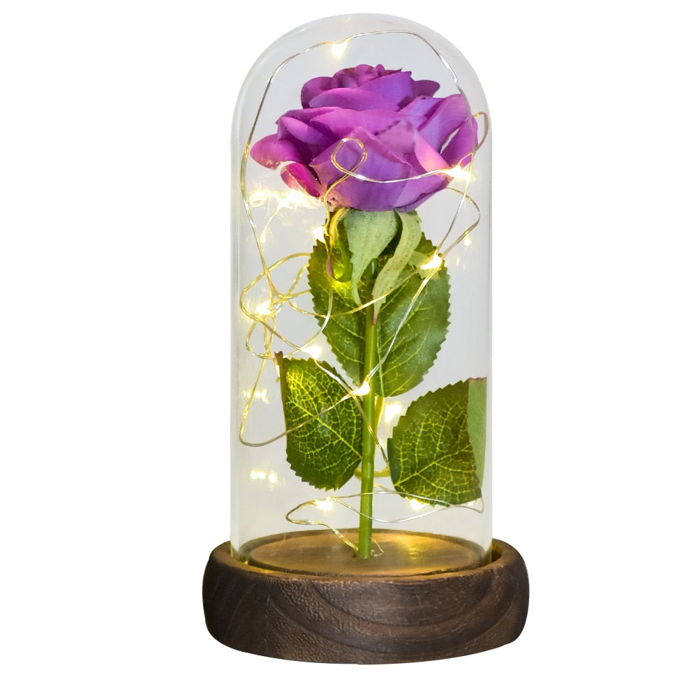 Mothers Day Gifts Beauty and The Beast Preserved Roses In Glass Galaxy Rose LED Light Artificial Flower Gift for Mom Women Girls