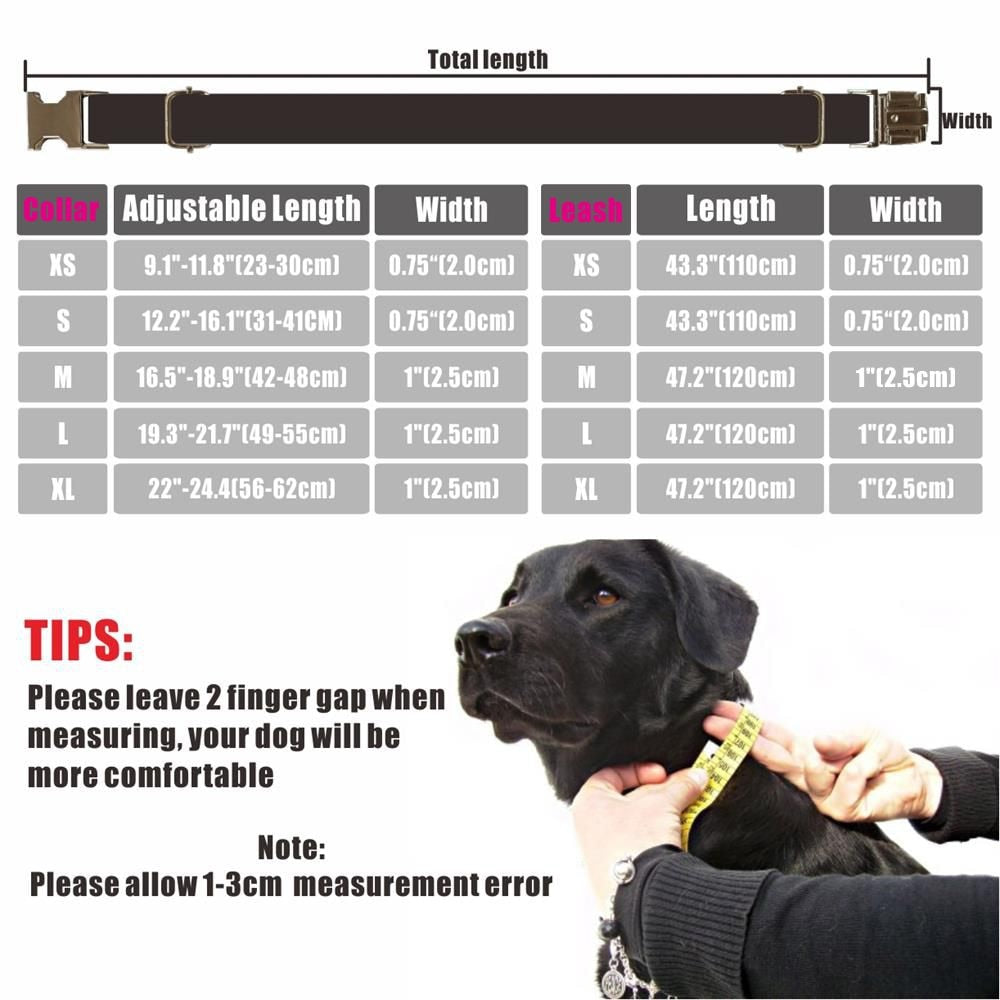 Personalized Dog Collar Customized Pet Collars Free Engraving ID Nameplate Tag Pet Accessory Suit Fiber Puppy Collars Leash Set