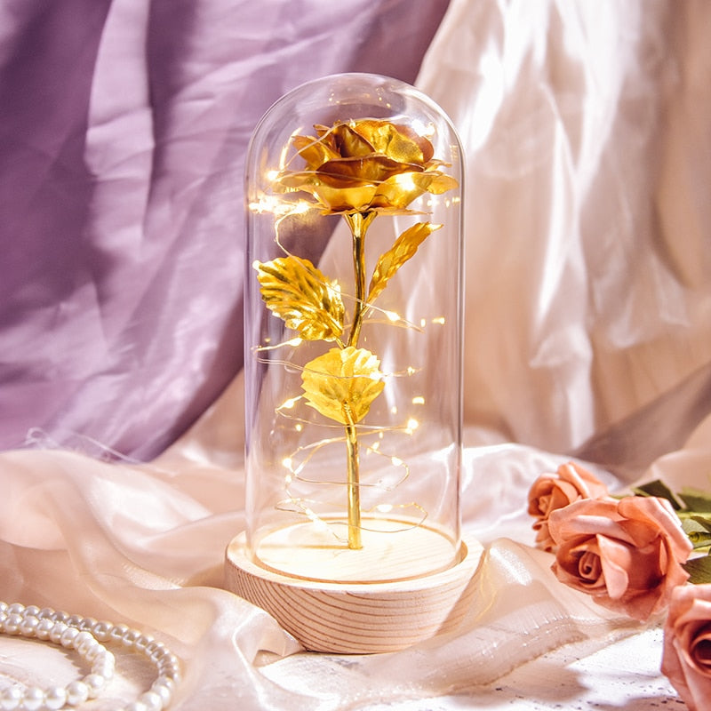 Mothers Day Gifts Beauty and The Beast Preserved Roses In Glass Galaxy Rose LED Light Artificial Flower Gift for Mom Women Girls