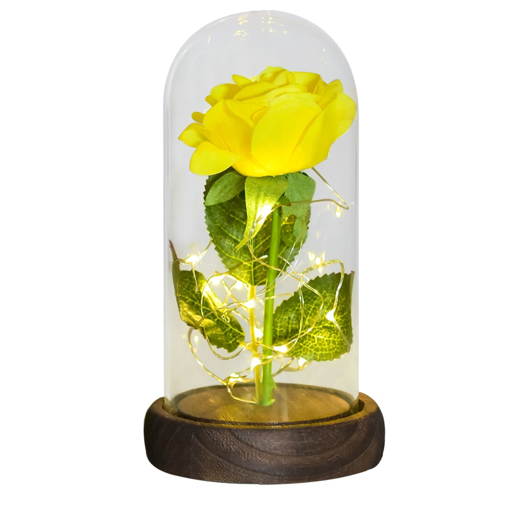 Mothers Day Gifts Beauty and The Beast Preserved Roses In Glass Galaxy Rose LED Light Artificial Flower Gift for Mom Women Girls